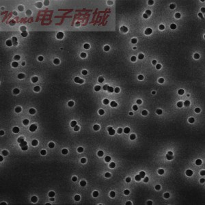 密理博Millipore GTTP02500 聚碳酸酯膜孔徑:0.22μm;直徑:25mm