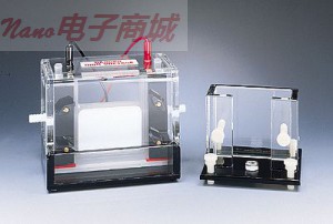 Thermo Scientific P8DS-1 迷你雙面垂直凝膠