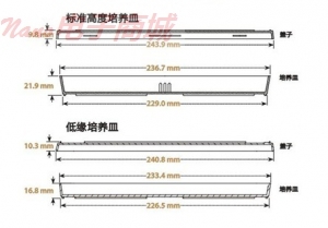 Nunc 240845 Bio-Assay 方形篩選培養皿