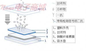 Whatman NC FT020滲濾膜10420001 NC FT020 SHT 350mmx640mm 10/PK，尺寸：350MMx640MM 孔徑0.2um