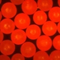 美國cospheric Fluorescent Red Polyethylene Microspheres 0.995g/cc - Various Sizes 10um to 1180um (1.2mm)